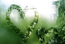 罗马红狼战胜拉齐奥，雄心满满