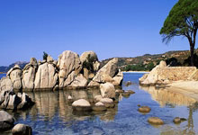 凯昂近期表现出色，下轮客场或继续向前