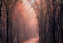 九游体育官网-巴黎圣日耳曼:无畏进取的勇者之路