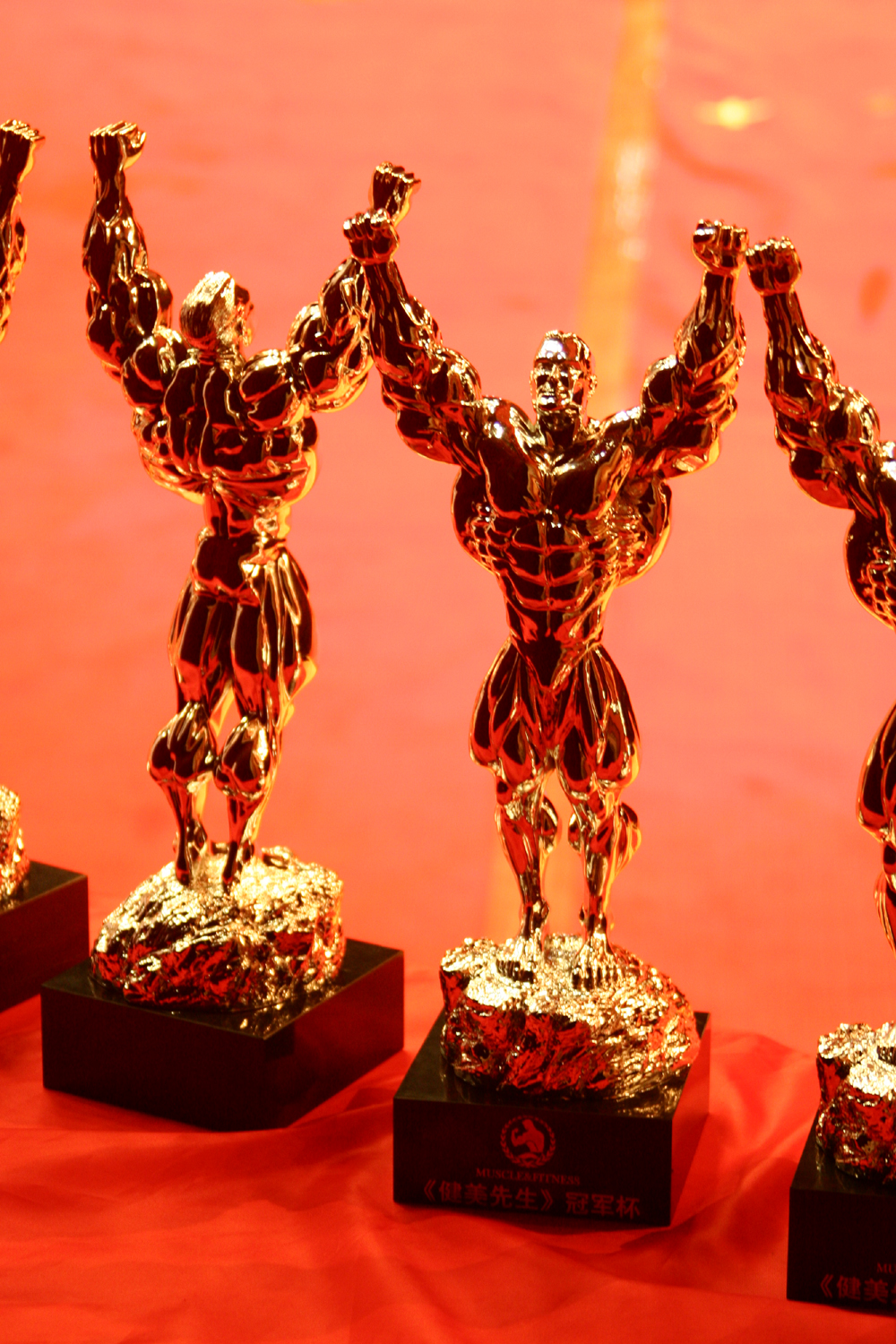 挪威足球队问鼎冠军奖杯,光荣到手 挪威足球队问鼎冠军奖杯,光荣到手