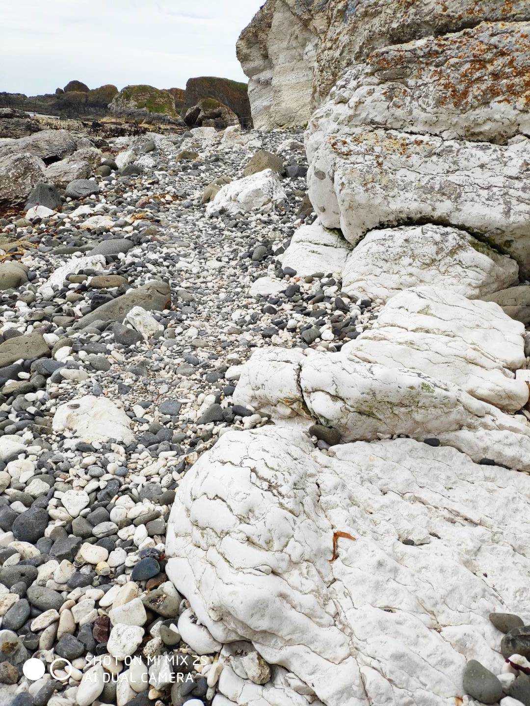 关于爱尔兰队遭遇意外,步入挑战之路的信息 关于爱尔兰队遭遇意外,步入挑战之路的信息